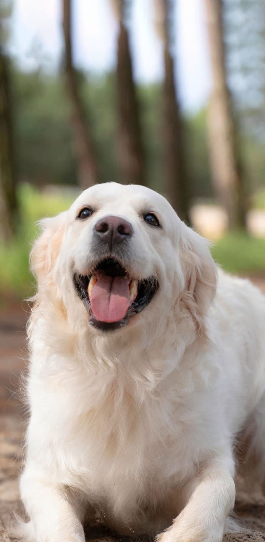 overlaying phone cover